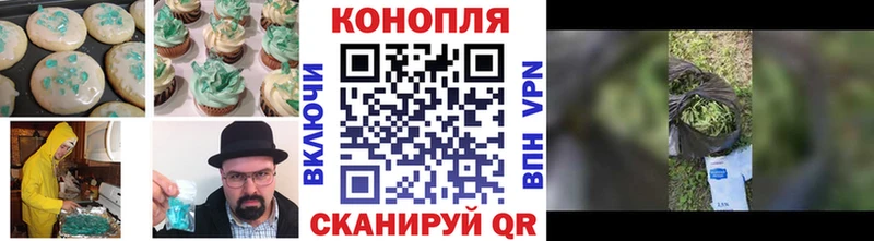 Canna-Cookies конопля Завитинск