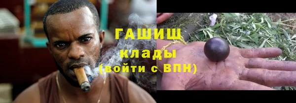 кокс Алексин