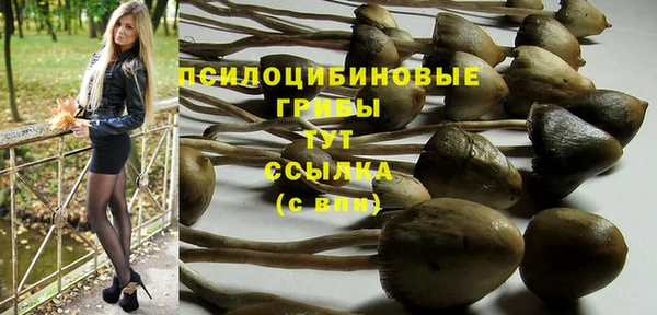 кокс Алексин
