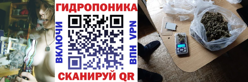 Бошки Шишки THC 21%  наркота  гидра как войти  Завитинск 